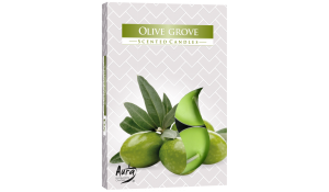 Vonná čajová svíčka Olivový háj 6 ks v krabičce